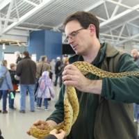 John Ball Zoo employee allowing guests to touch a snake
